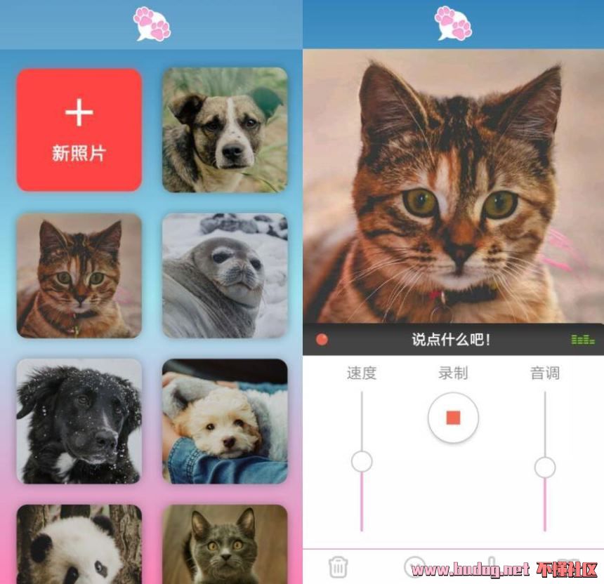 111700sk5sjkzjjqwqqylu.jpg