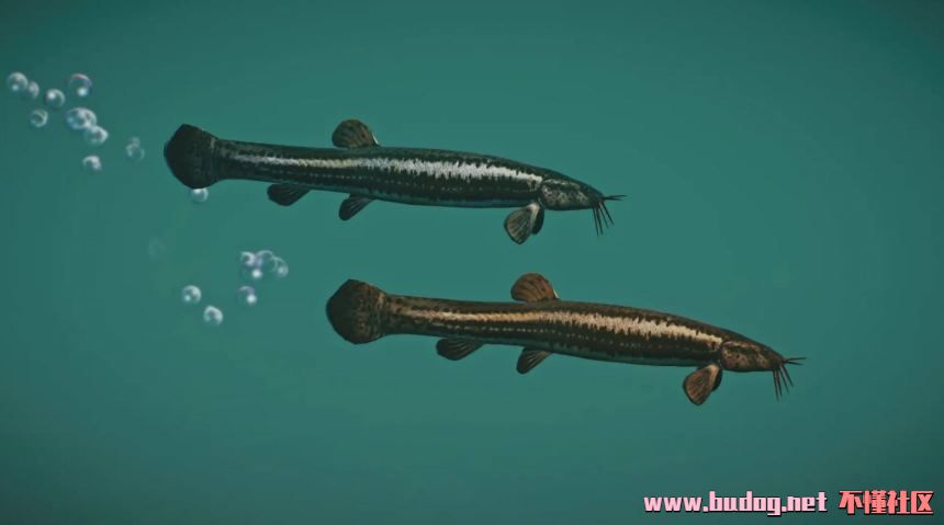 114257ox9ikgm0yg0w80w7.jpg