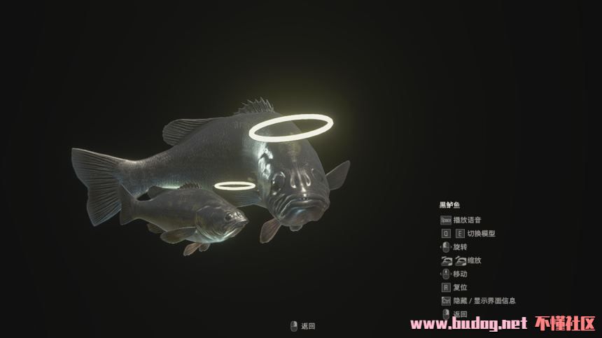 154842xqnnfedz6p6b0jb1.jpg
