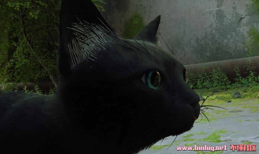 104351z6gaxc6thggq6ynd.jpg