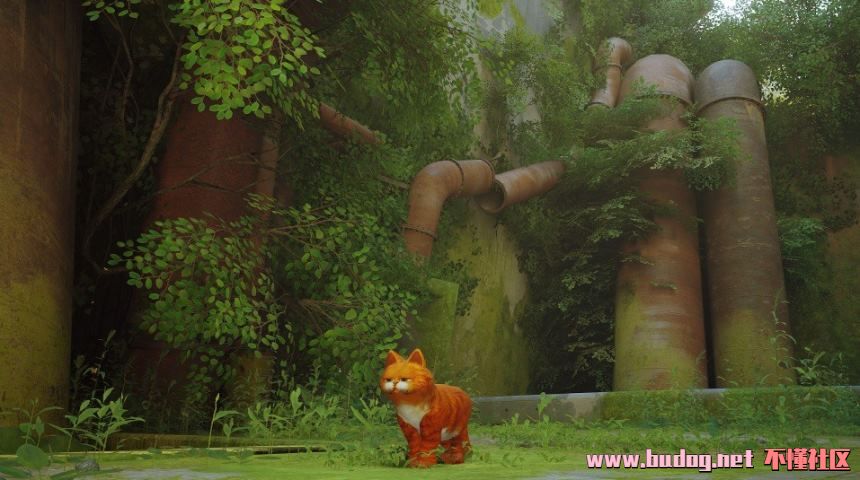 104419jueze4uzuxpprchz.jpg
