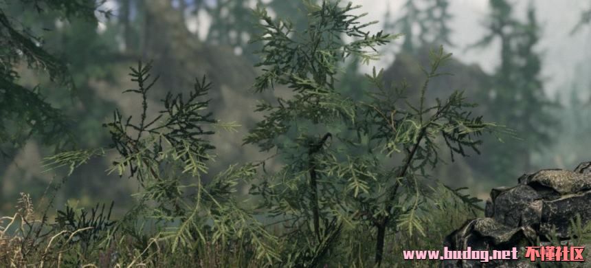 121528xwz5nmsno7ps7o0p.jpg