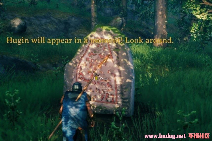 132836vv49oqoh8vk8ypo0.jpg