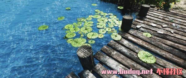 132954rxa988dx1pdyd89y.jpg