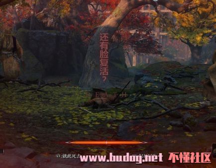 110605pgen4o4j4tvv9vb2.jpg
