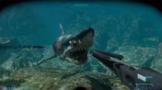 Ϯ2/SharkAttackDeathmatch2